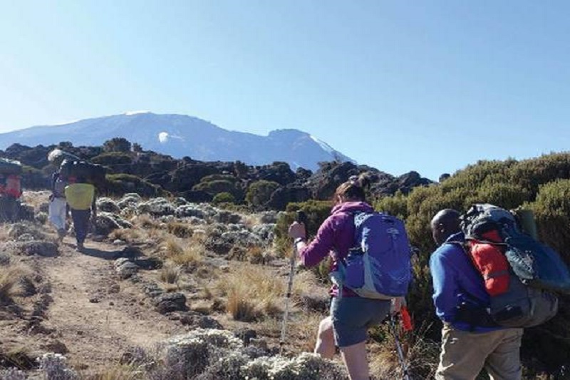 8-days-kilimanjaro-trek-lemosho-route