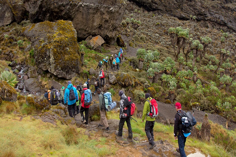 7-days-kilimanjaro-trek-machame-route