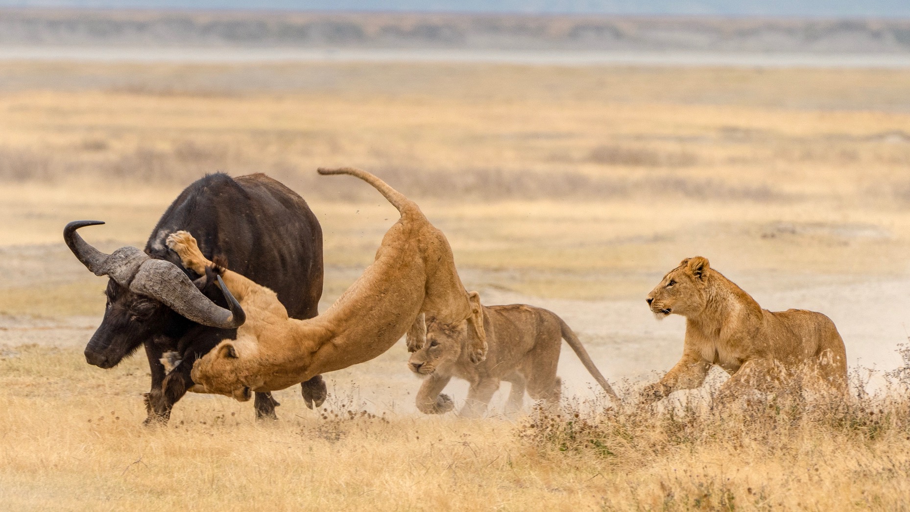 ngorongoro-crater