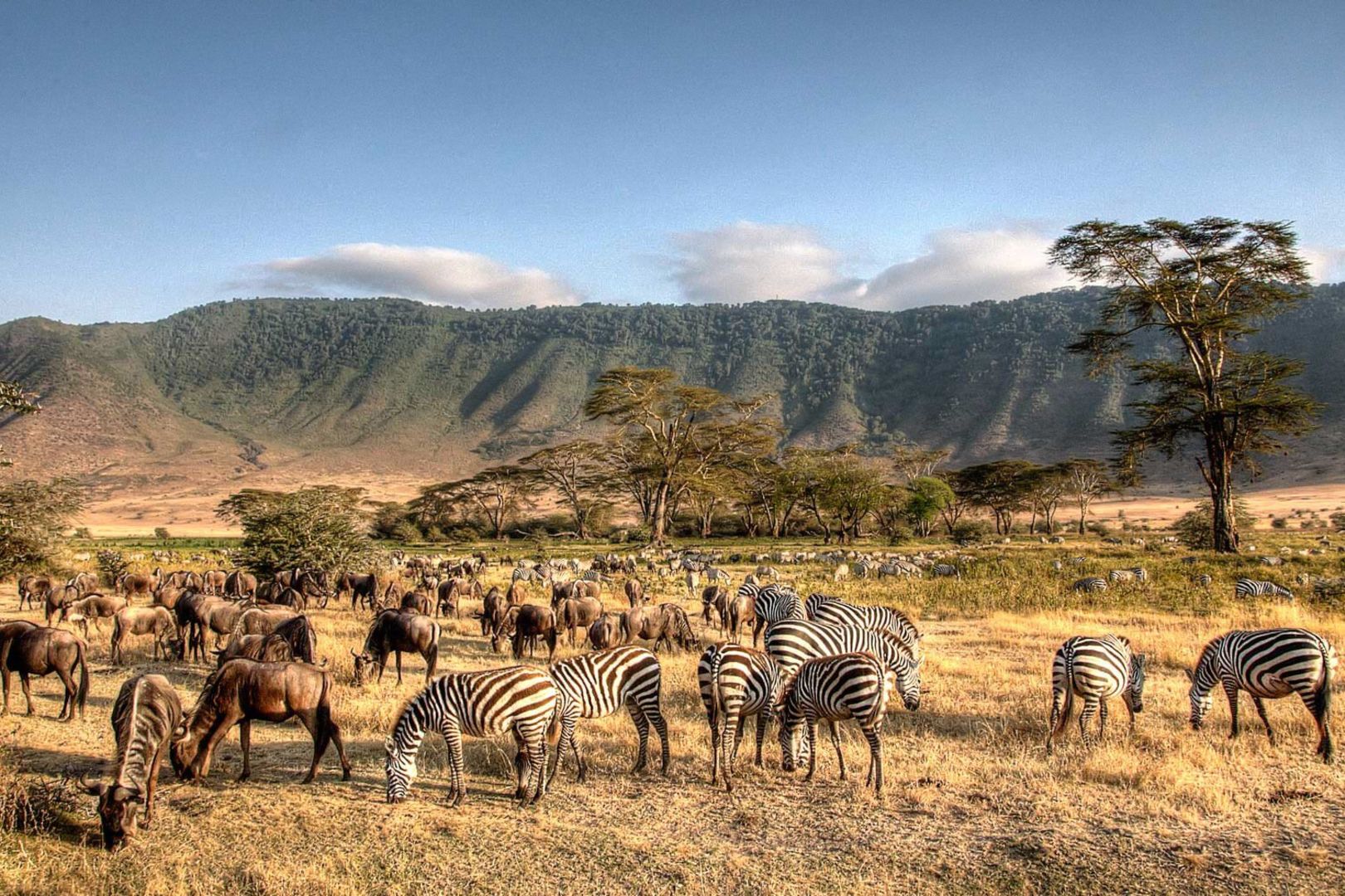 serengeti-national-park